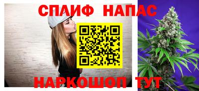 гашик Можга