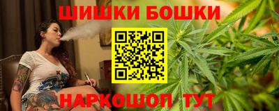 гашик Можга