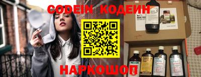 гашик Можга
