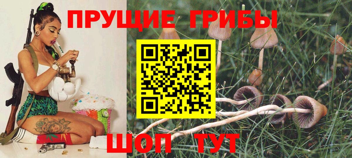 Псилоцибиновые грибы мухоморы Хабаровск